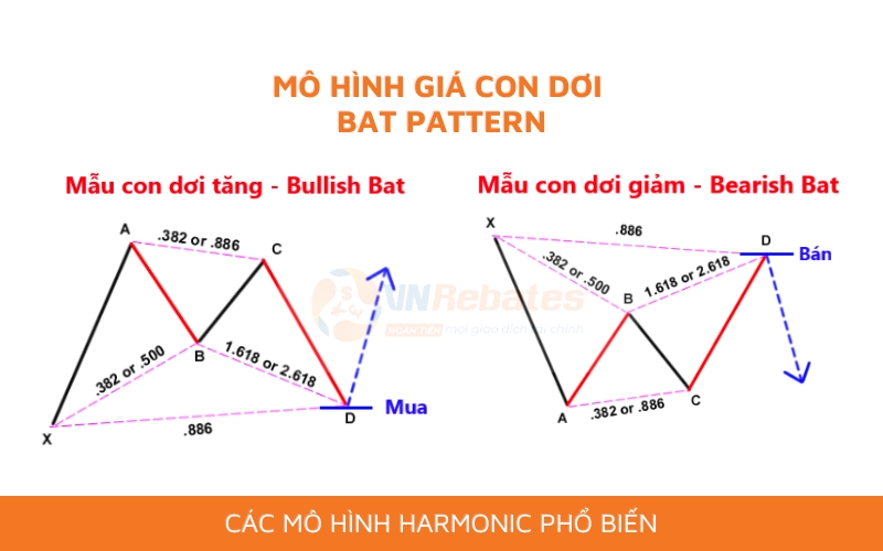 Mô hình giá Harmonic: Mô hình con dơi (Bat pattern)